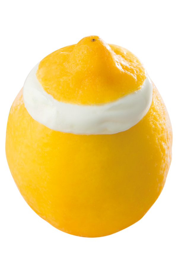 Limón Helado - 6 Un